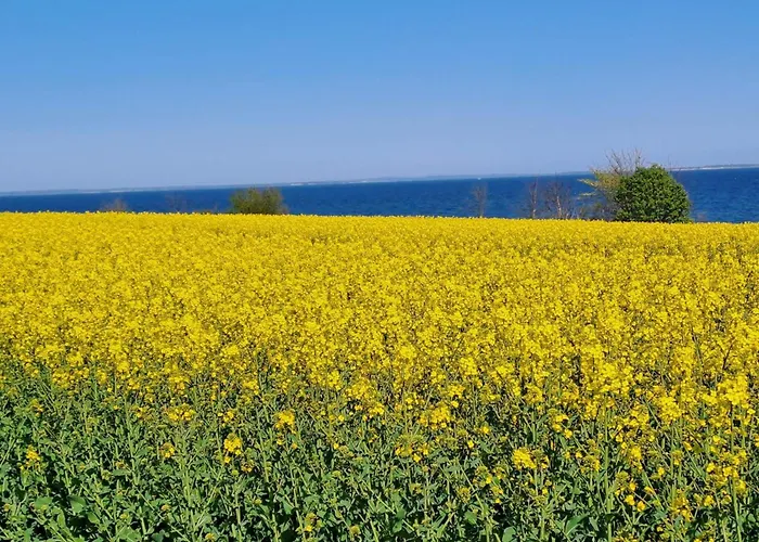 5 Star In Sydals * Sarup